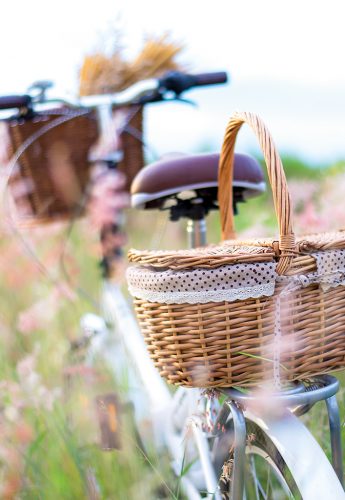 Das Fahrradspecial im Waldhaus Prieros